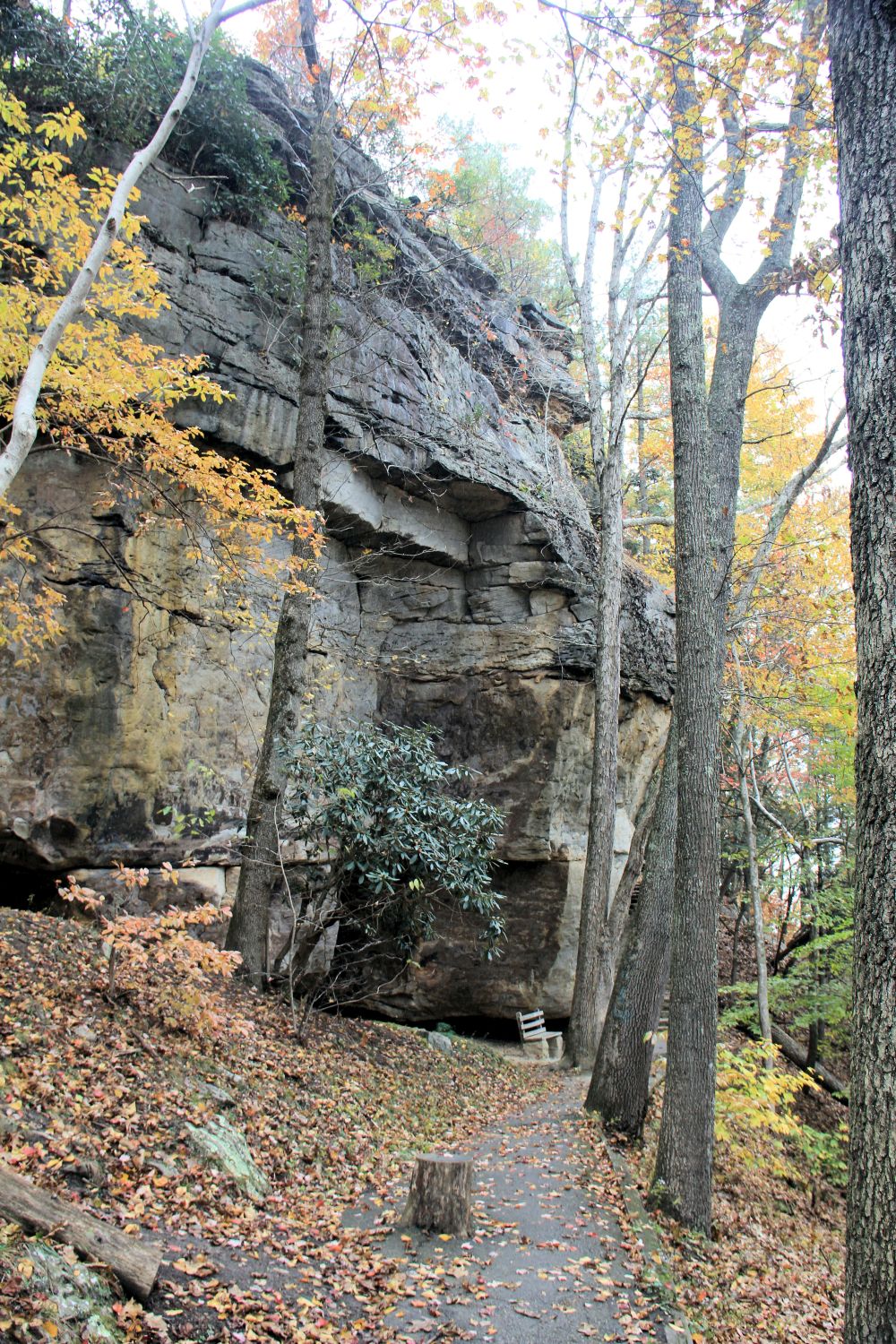 Grand View Rim Trail 